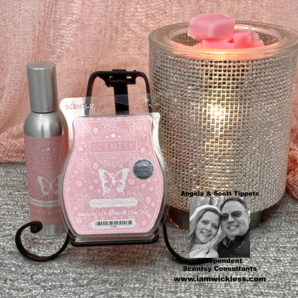 january-scentsy-warmer.jpg